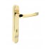 ProSecure Door Handle