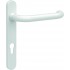 Elderly and Infirm Door Handle