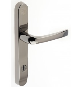 ProSecure Door Handle
