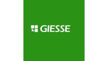 Giesse