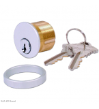 ADAMS RITE 4036 Screw-In Cylinder
