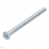 EVVA ZS Resistorx Cylinder Fixing Screw