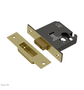 ASEC Vital Mortice Euro Deadcase