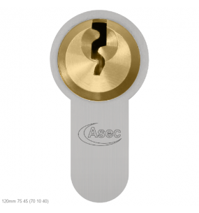 ASEC Vital 6 Pin Double Euro Dual Finish Snap Resistant Cylinder